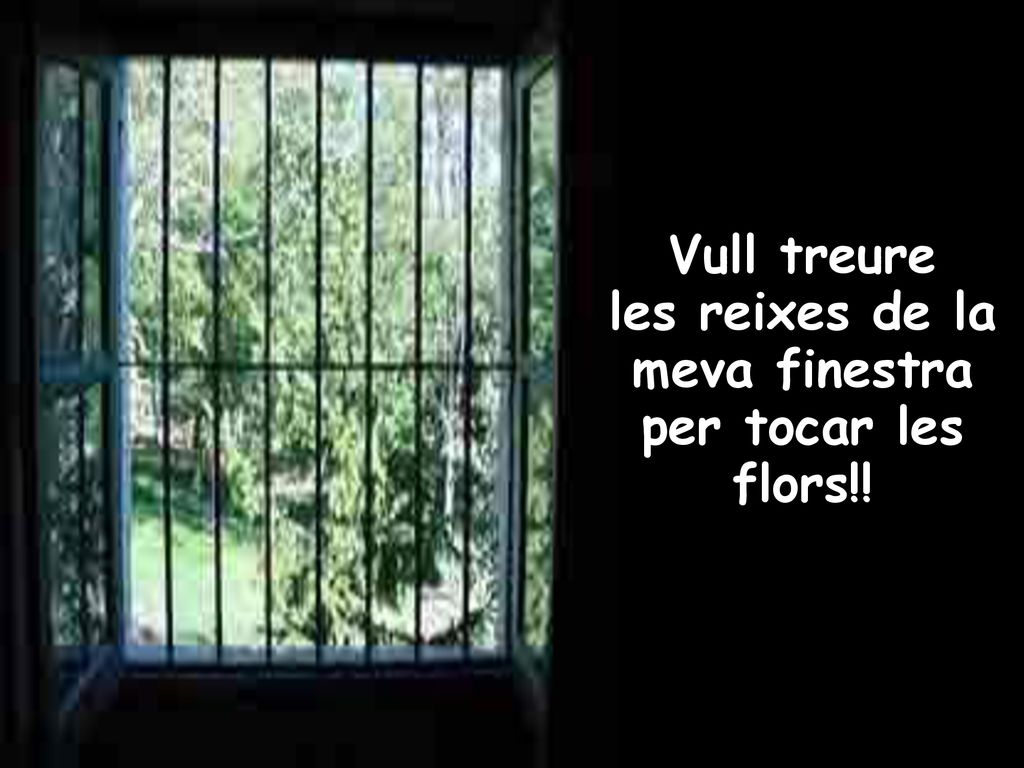 les reixes de la meva finestra per tocar les flors!!