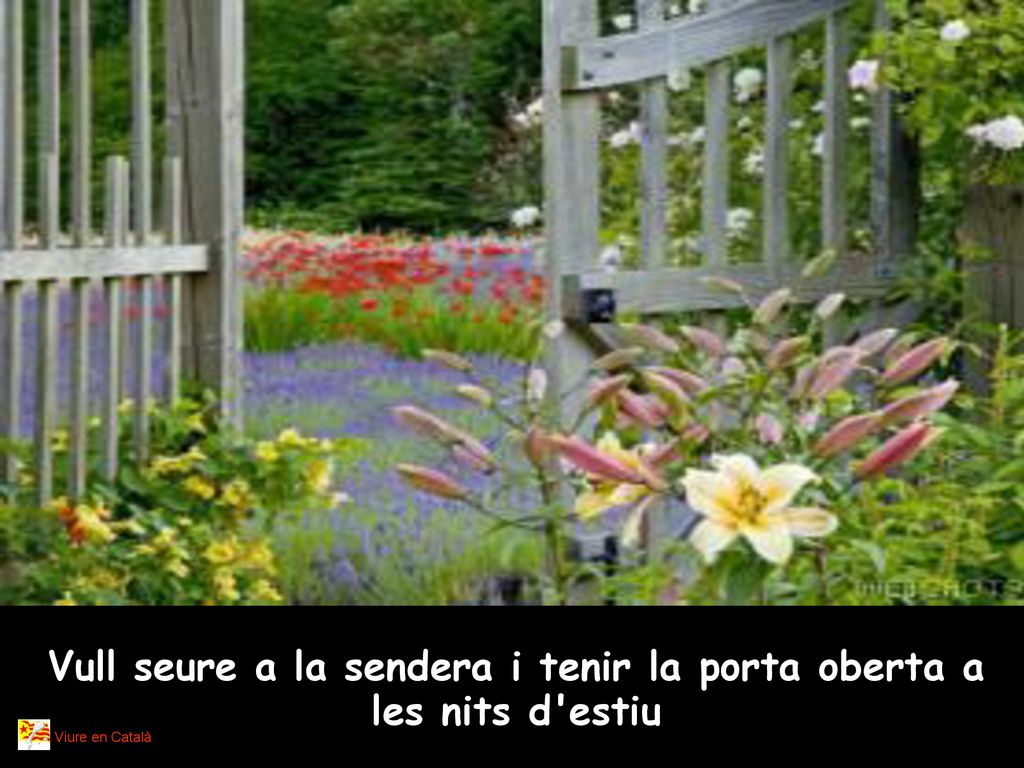 Vull seure a la sendera i tenir la porta oberta a les nits d estiu