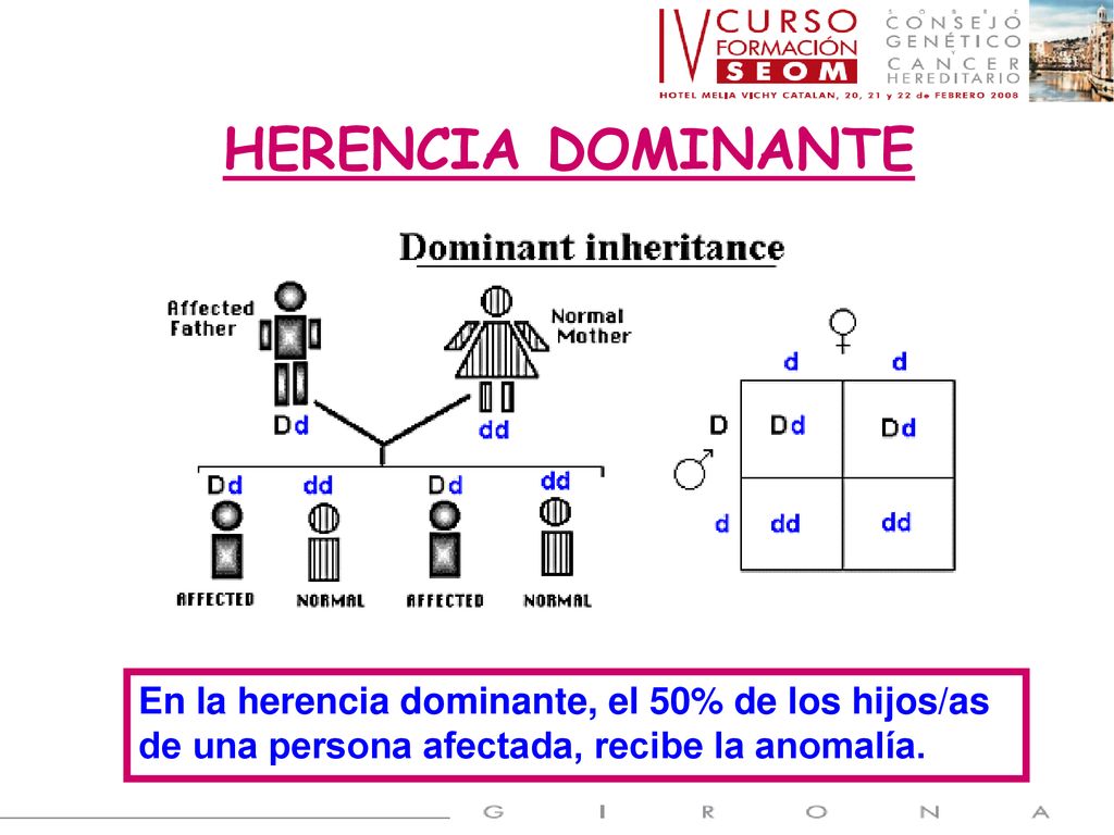 HERENCIA DOMINANTE En la herencia dominante, el 50% de los hijos/as de una persona afectada, recibe la anomalía.
