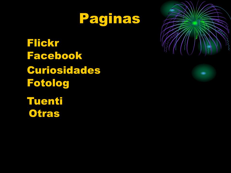 Paginas Flickr Facebook Curiosidades Fotolog Tuenti Otras