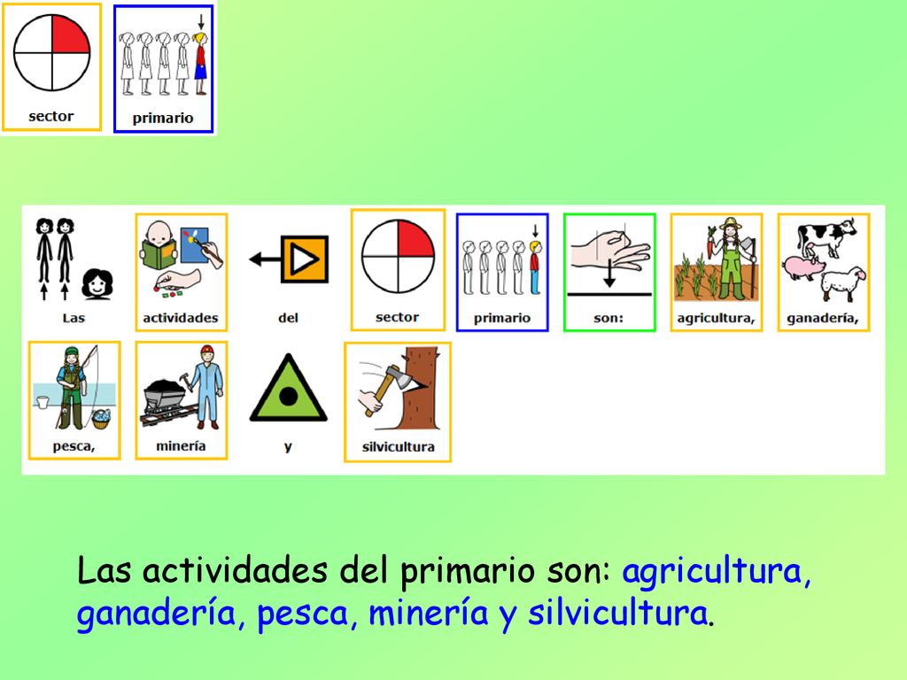 Las actividades del primario son: agricultura, ganadería, pesca, minería y silvicultura.