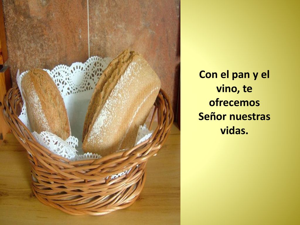 Con el pan y el vino, te ofrecemos Señor nuestras vidas.