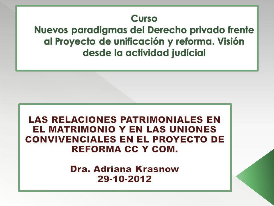 Curso Nuevos paradigmas del Derecho privado frente al Proyecto de unificación y reforma. Visión desde la actividad judicial