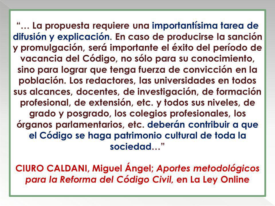 … La propuesta requiere una importantísima tarea de difusión y explicación. En caso de producirse la sanción y promulgación, será importante el éxito del período de vacancia del Código, no sólo para su conocimiento, sino para lograr que tenga fuerza de convicción en la población. Los redactores, las universidades en todos sus alcances, docentes, de investigación, de formación profesional, de extensión, etc. y todos sus niveles, de grado y posgrado, los colegios profesionales, los órganos parlamentarios, etc. deberán contribuir a que el Código se haga patrimonio cultural de toda la sociedad…