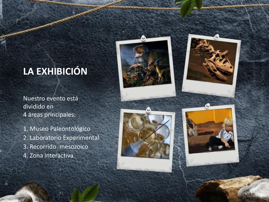 LA EXHIBICIÓN Nuestro evento está dividido en 4 áreas principales: