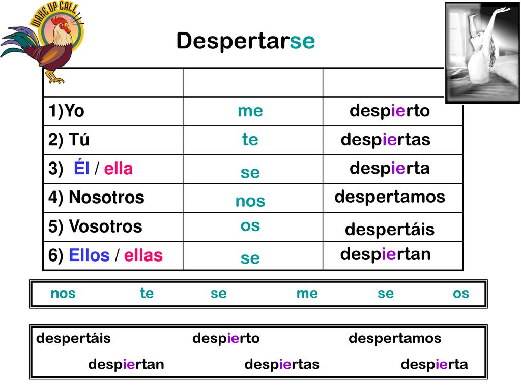 Despertarse Yo 2) Tú 3) Él / ella 4) Nosotros 5) Vosotros