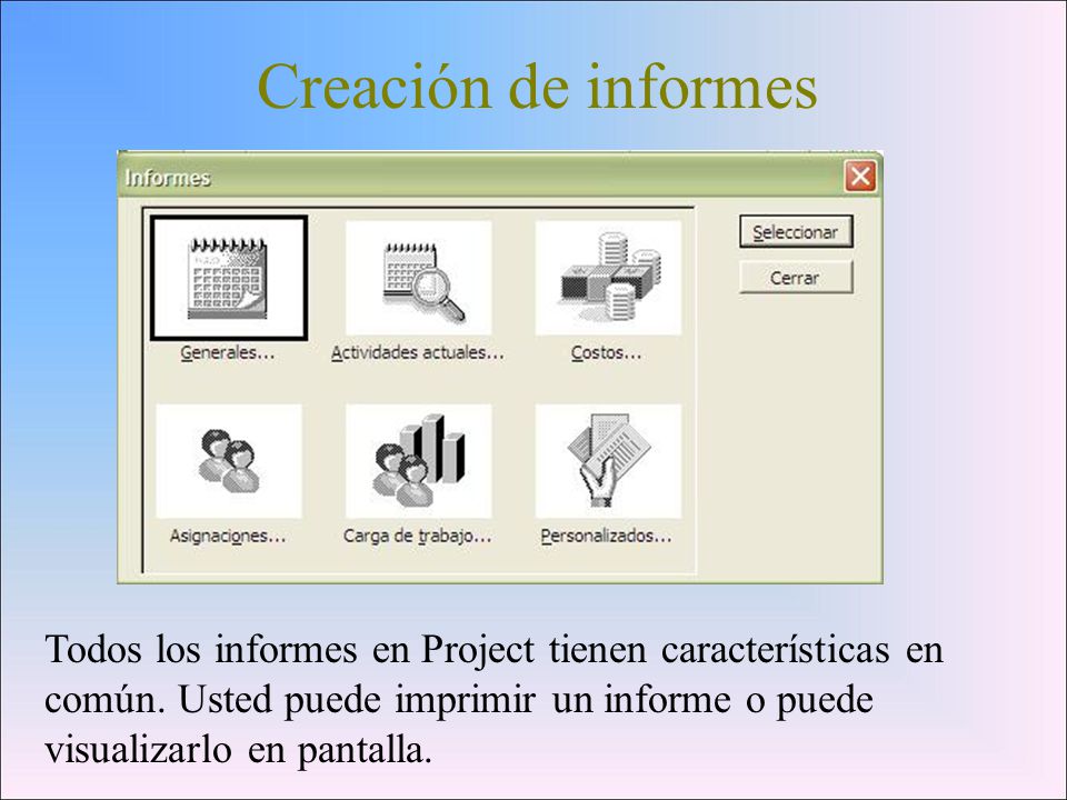Creación de informes Todos los informes en Project tienen características en común.
