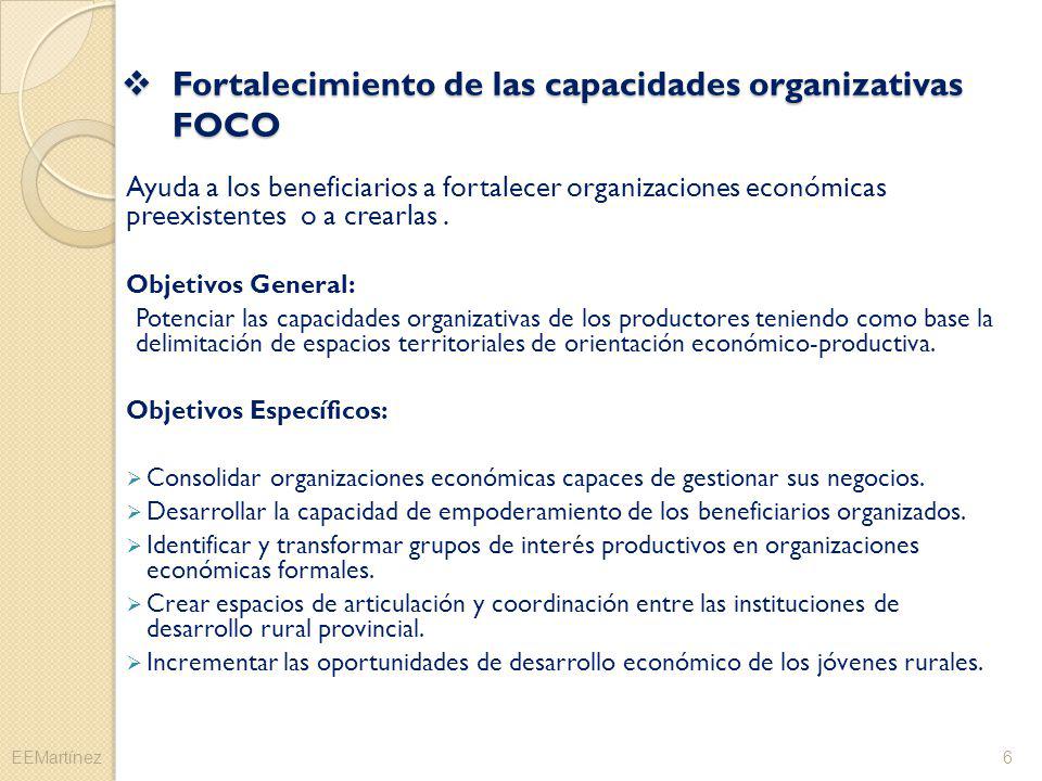 Fortalecimiento de las capacidades organizativas FOCO