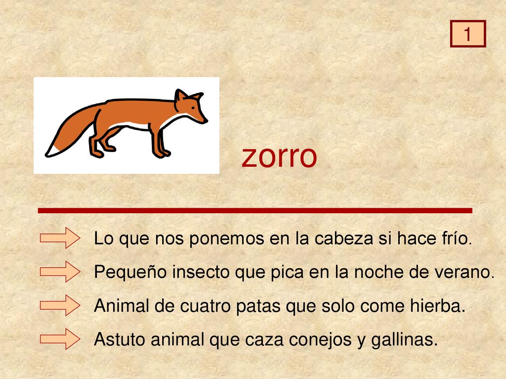 zorro 1 Lo que nos ponemos en la cabeza si hace frío.