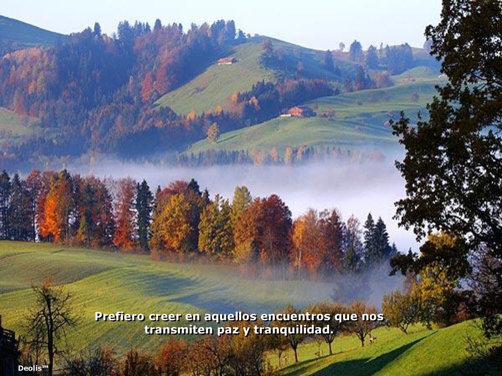 Prefiero creer en aquellos encuentros que nos transmiten paz y tranquilidad.