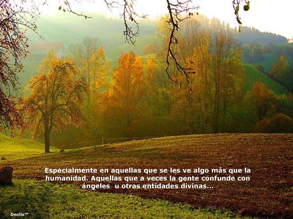 Especialmente en aquellas que se les ve algo más que la humanidad