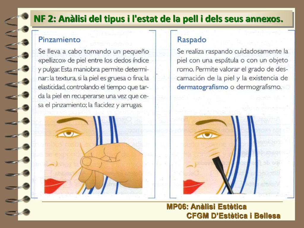 NF 2: Anàlisi del tipus i l estat de la pell i dels seus annexos.
