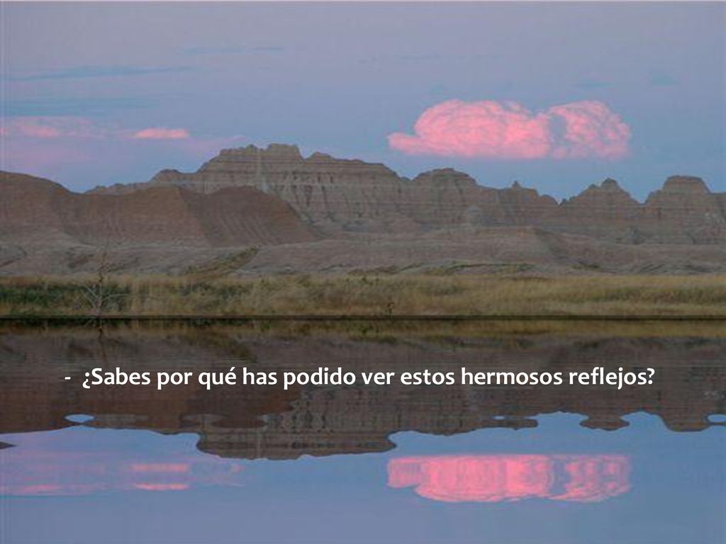 - ¿Sabes por qué has podido ver estos hermosos reflejos