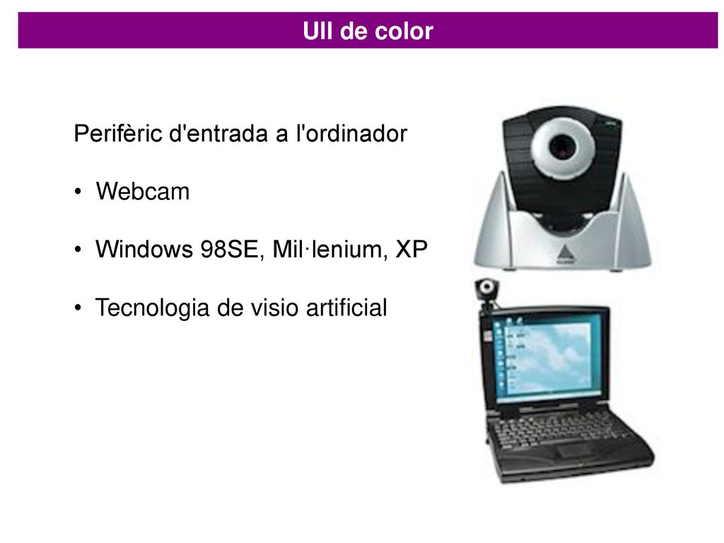 Ull de color Perifèric d entrada a l ordinador. Webcam.