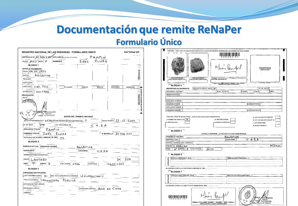 Documentación que remite ReNaPer Formulario Único Formulario Único