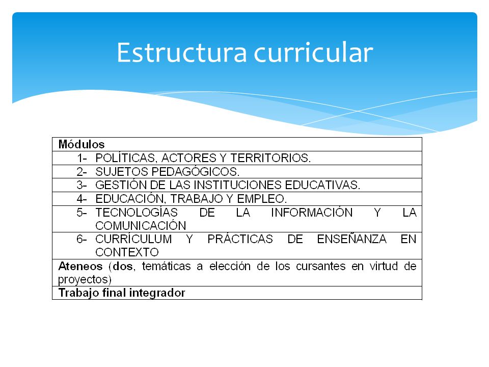 Estructura curricular