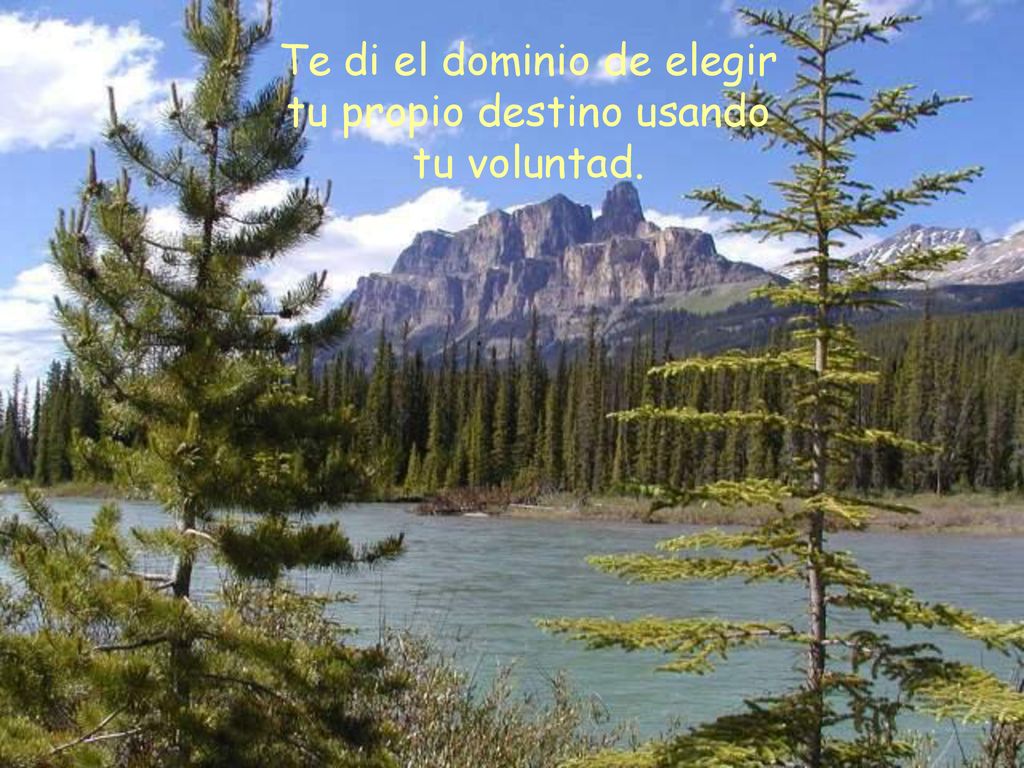 Te di el dominio de elegir tu propio destino usando tu voluntad.