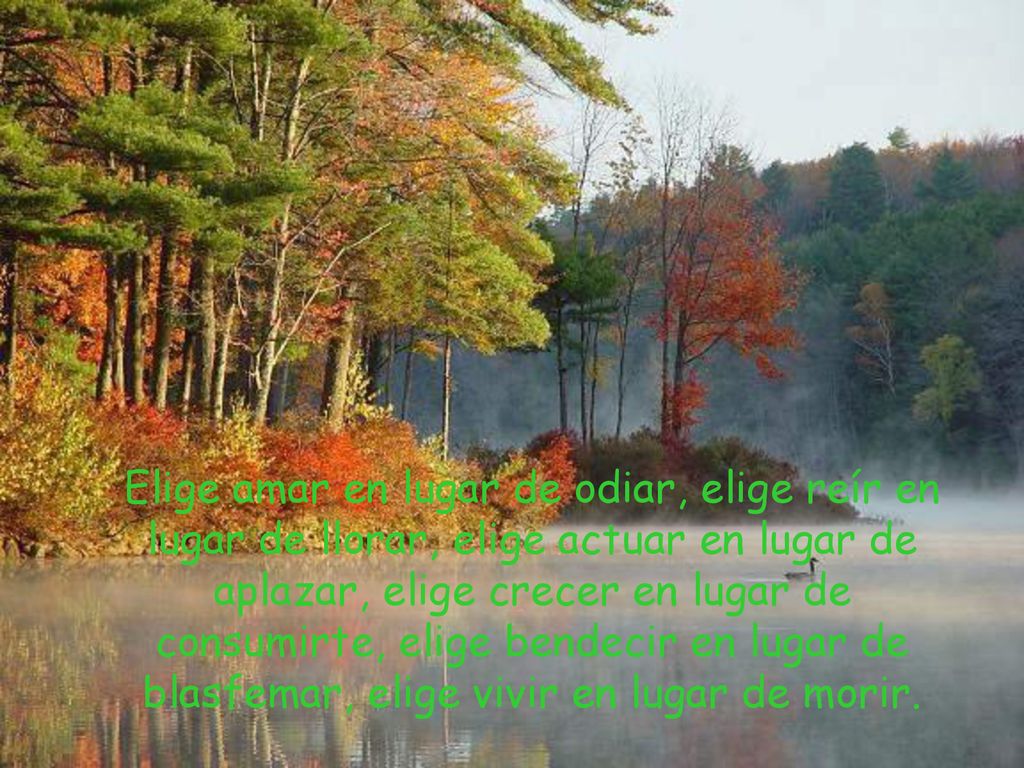 Elige amar en lugar de odiar, elige reír en lugar de llorar, elige actuar en lugar de aplazar, elige crecer en lugar de consumirte, elige bendecir en lugar de blasfemar, elige vivir en lugar de morir.