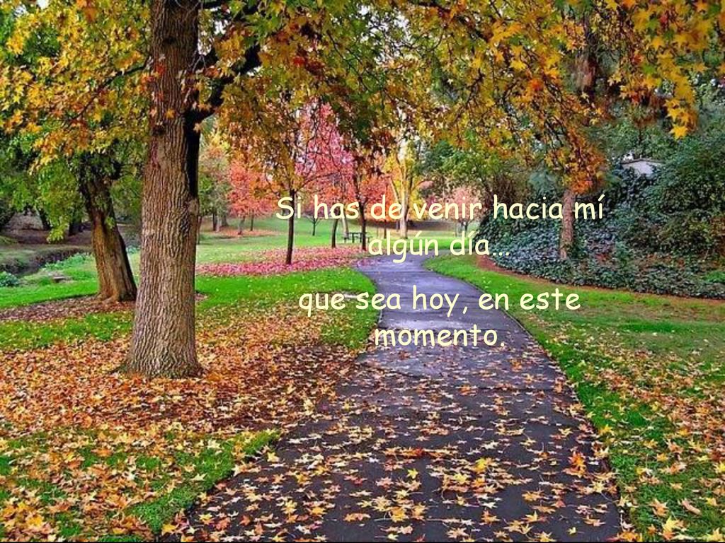 Si has de venir hacia mí algún día… que sea hoy, en este momento.