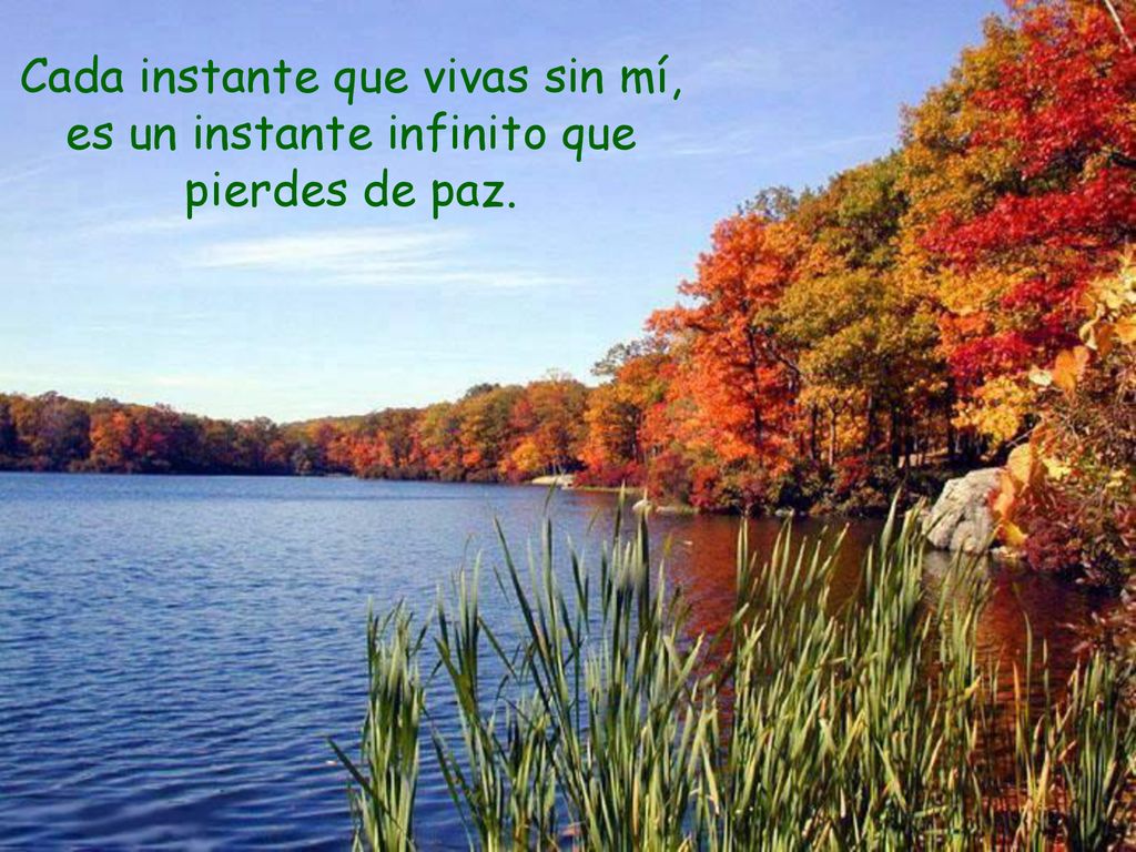 Cada instante que vivas sin mí, es un instante infinito que pierdes de paz.