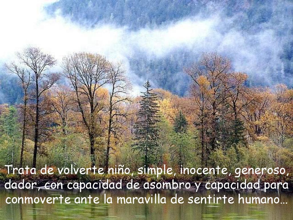 Trata de volverte niño, simple, inocente, generoso, dador, con capacidad de asombro y capacidad para conmoverte ante la maravilla de sentirte humano…