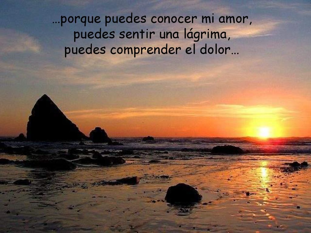 …porque puedes conocer mi amor, puedes sentir una lágrima, puedes comprender el dolor…
