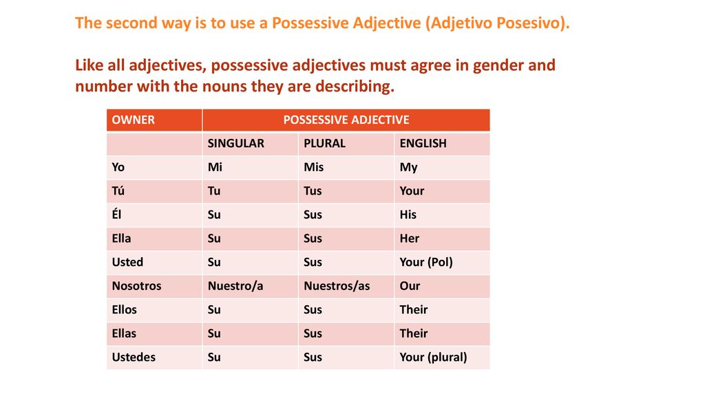 The second way is to use a Possessive Adjective (Adjetivo Posesivo).