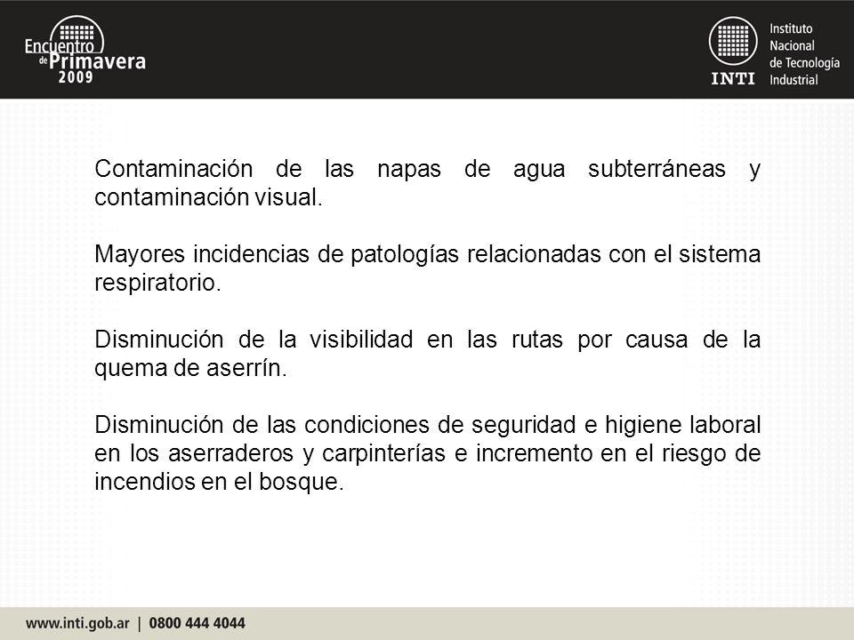 Contaminación de las napas de agua subterráneas y contaminación visual.