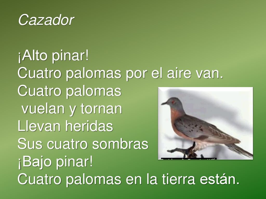 Cazador ¡Alto pinar! Cuatro palomas por el aire van. Cuatro palomas. vuelan y tornan. Llevan heridas.