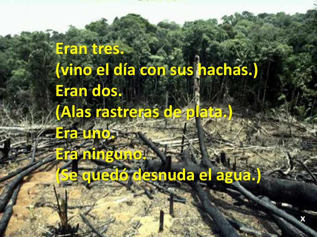 (vino el día con sus hachas.) Eran dos. (Alas rastreras de plata.)