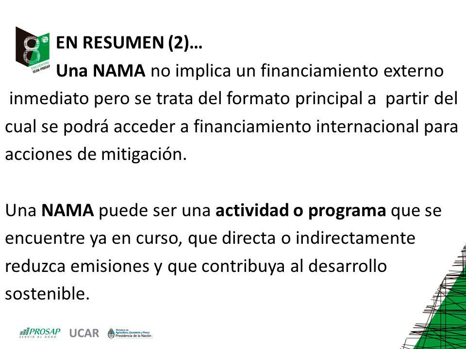 EN RESUMEN (2)… Una NAMA no implica un financiamiento externo. inmediato pero se trata del formato principal a partir del.