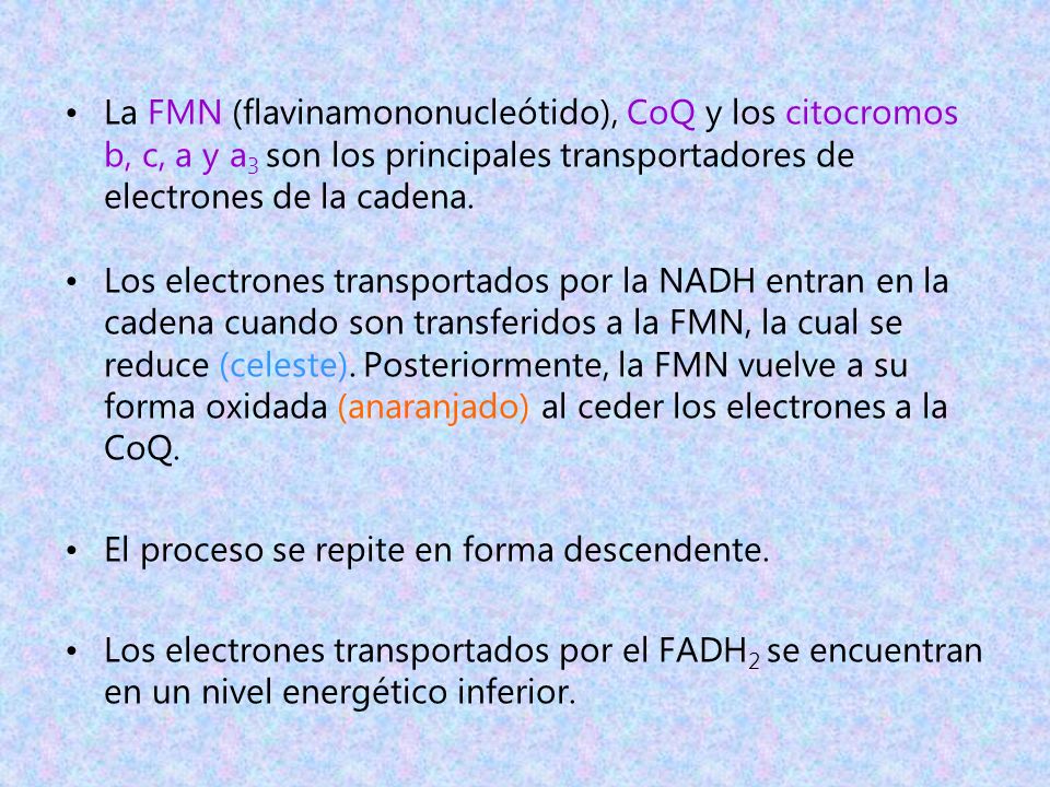 La FMN (flavinamononucleótido), CoQ y los citocromos b, c, a y a3 son los principales transportadores de electrones de la cadena.