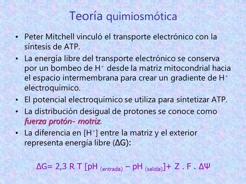 ΔG= 2,3 R T [pH (entrada) – pH (salida)]+ Z . F . ΔΨ