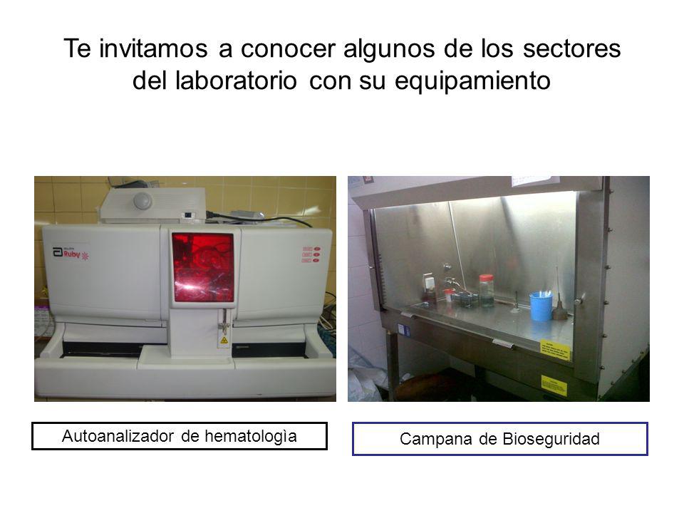 Te invitamos a conocer algunos de los sectores del laboratorio con su equipamiento