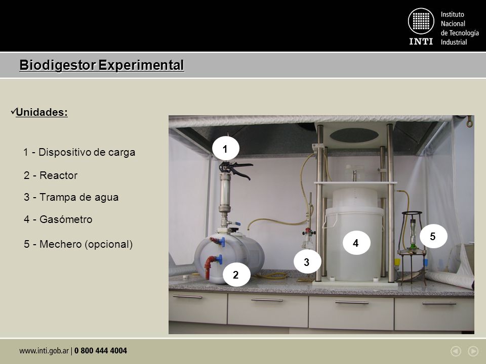 Biodigestor Experimental