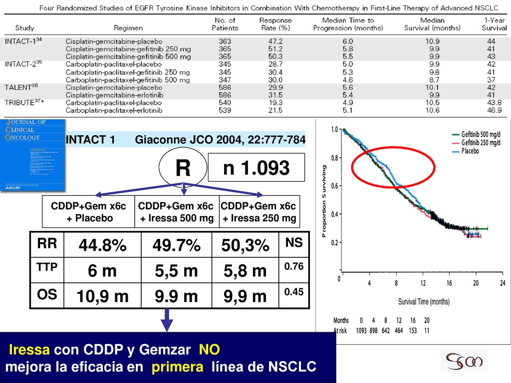 INTACT 1 Giaconne JCO 2004, 22: R. n CDDP+Gem x6c. + Placebo. CDDP+Gem x6c. + Iressa 500 mg.