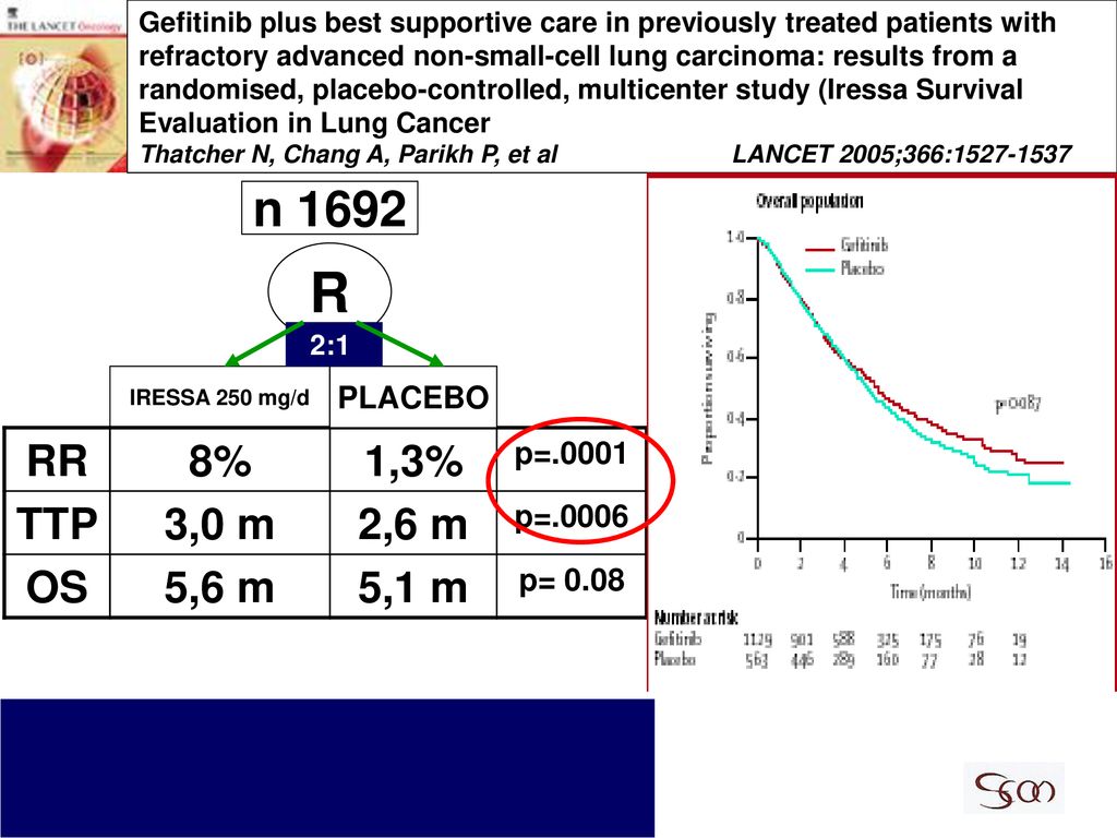 Gefitinib plus best supportive care in previously treated patients with