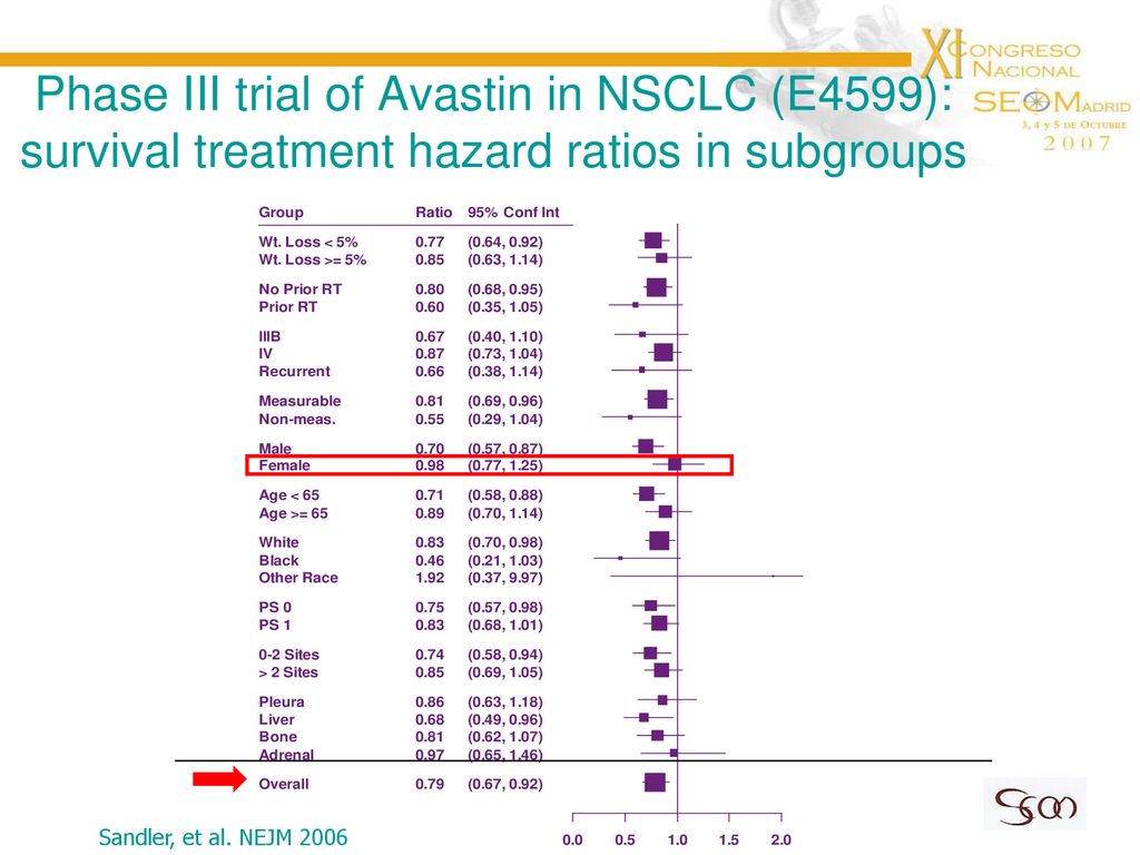 Phase III trial of Avastin in NSCLC (E4599): survival treatment hazard ratios in subgroups
