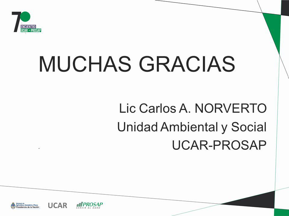 MUCHAS GRACIAS Lic Carlos A. NORVERTO Unidad Ambiental y Social