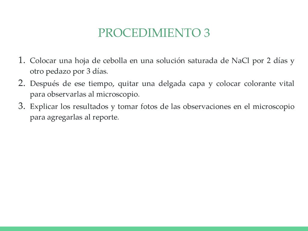 PROCEDIMIENTO 3 Colocar una hoja de cebolla en una solución saturada de NaCl por 2 días y otro pedazo por 3 días.