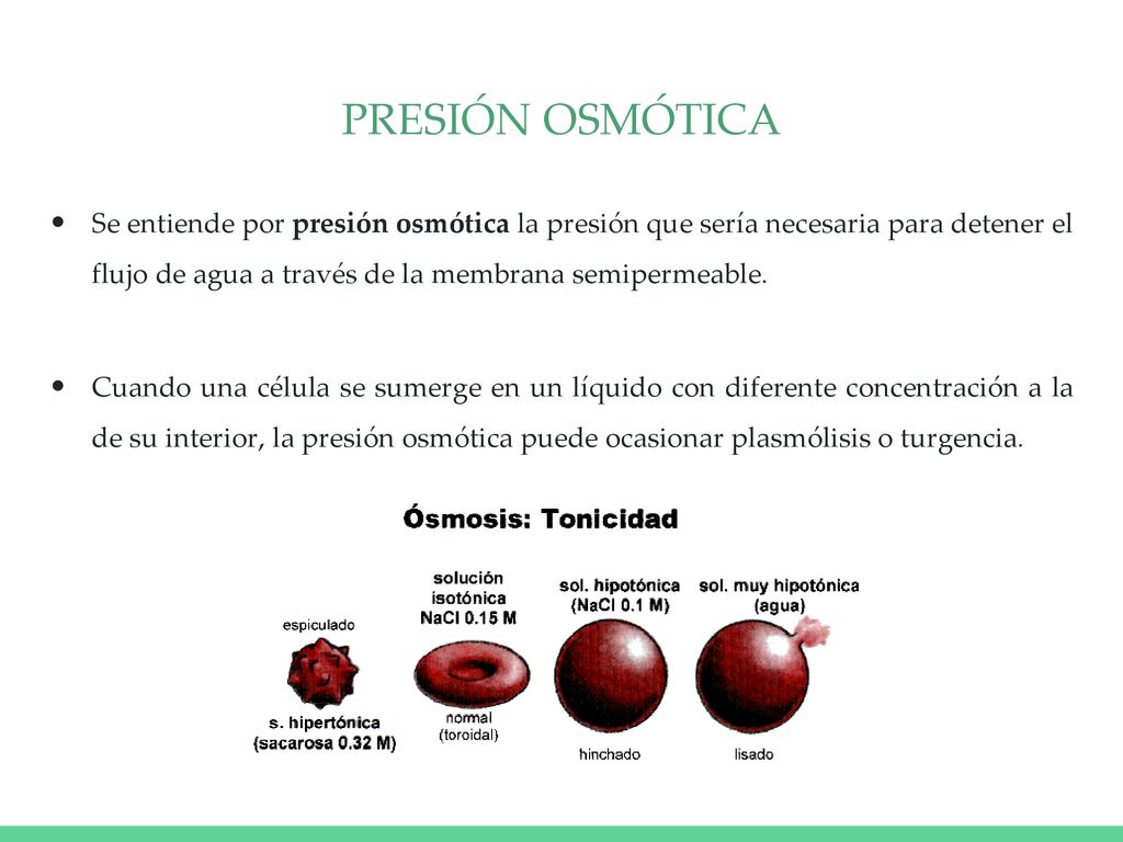 PRESIÓN OSMÓTICA Se entiende por presión osmótica la presión que sería necesaria para detener el flujo de agua a través de la membrana semipermeable.