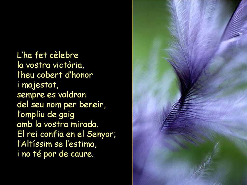 L’ha fet cèlebre la vostra victòria, l’heu cobert d’honor. i majestat, sempre es valdran. del seu nom per beneir,