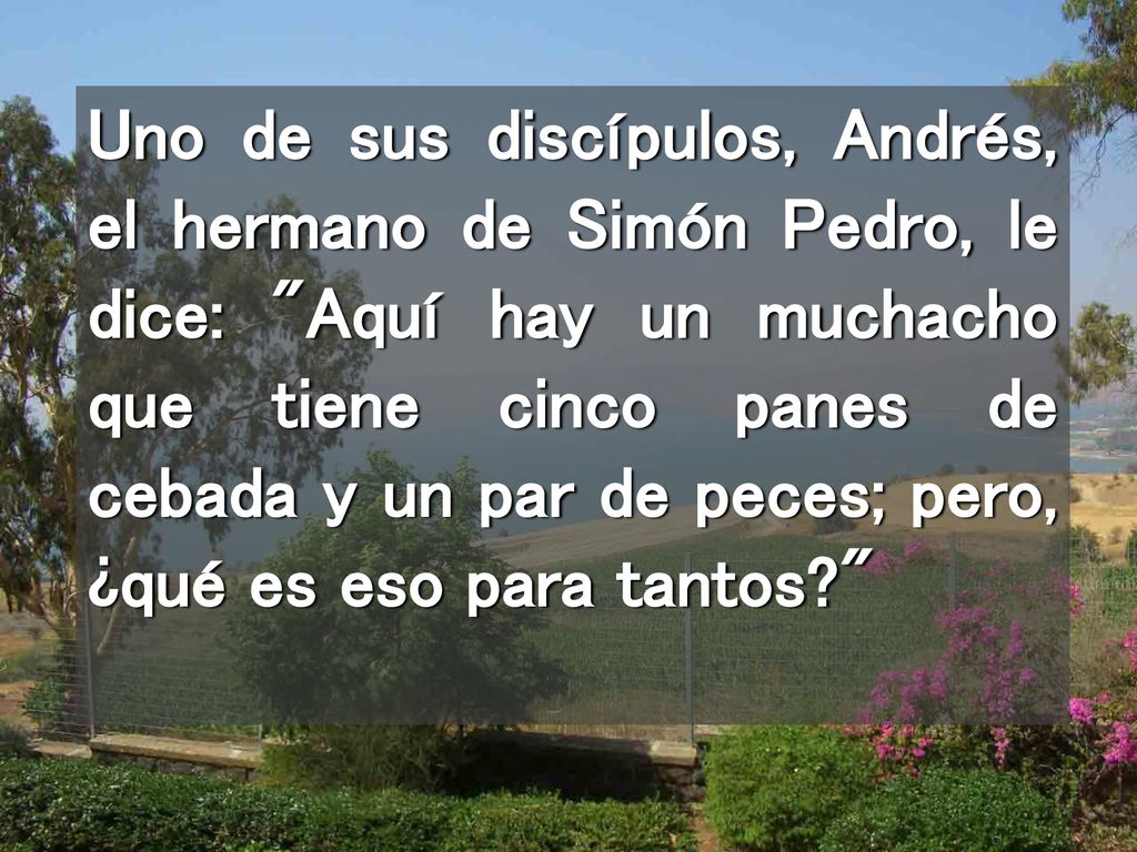 Uno de sus discípulos, Andrés, el hermano de Simón Pedro, le dice: Aquí hay un muchacho que tiene cinco panes de cebada y un par de peces; pero, ¿qué es eso para tantos