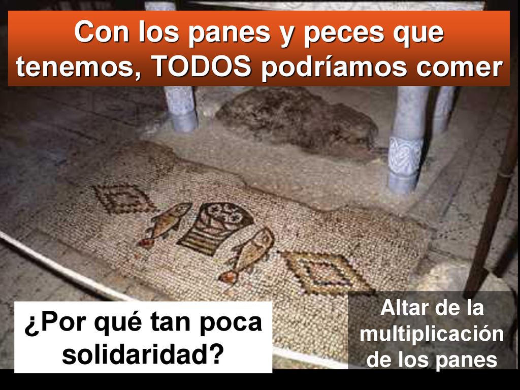 Con los panes y peces que tenemos, TODOS podríamos comer