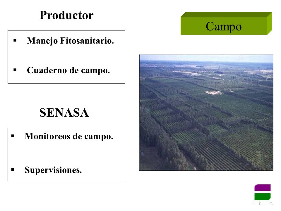 Productor Campo SENASA Manejo Fitosanitario. Cuaderno de campo.