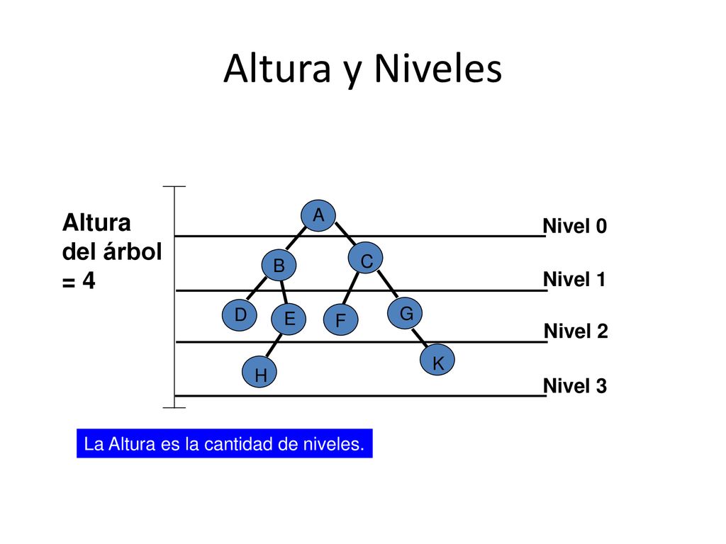 Altura y Niveles Altura del árbol = 4 Nivel 0 Nivel 1 Nivel 2 Nivel 3