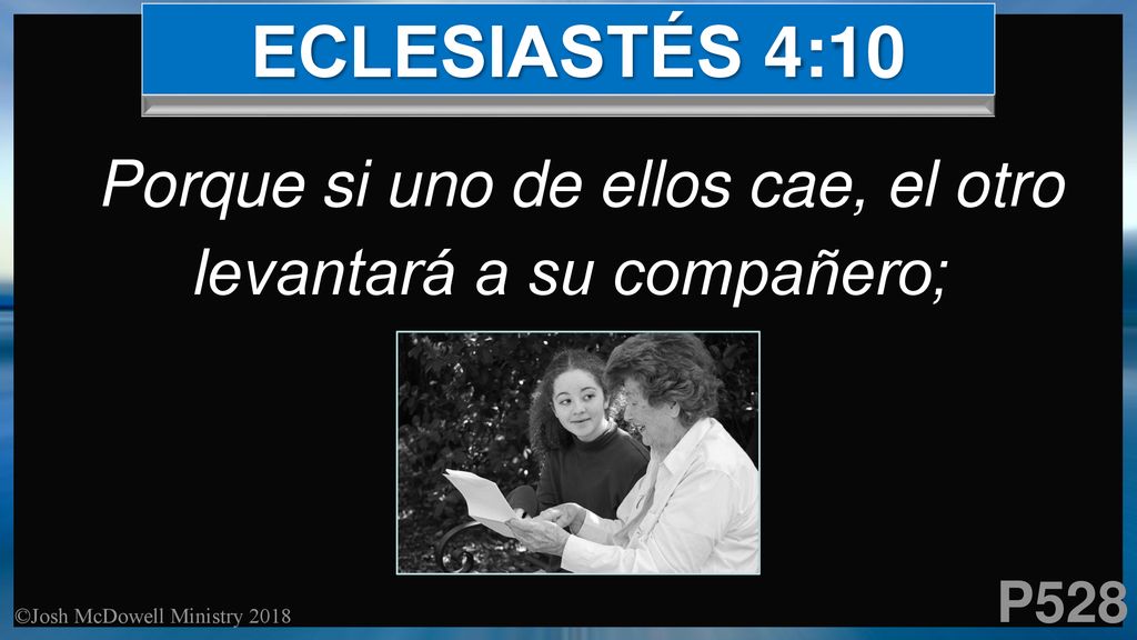 Porque si uno de ellos cae, el otro levantará a su compañero;