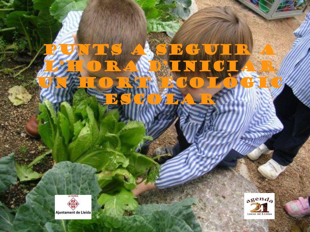 PUNTS A SEGUIR A L’HORA D’INICIAR UN HORT ECOLÒGIC ESCOLAR