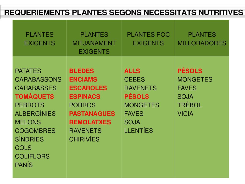 PLANTES EXIGENTS. MITJANAMENT. PLANTES POC. MILLORADORES. PATATES. CARABASSONS. CARABASSES. TOMÀQUETS.