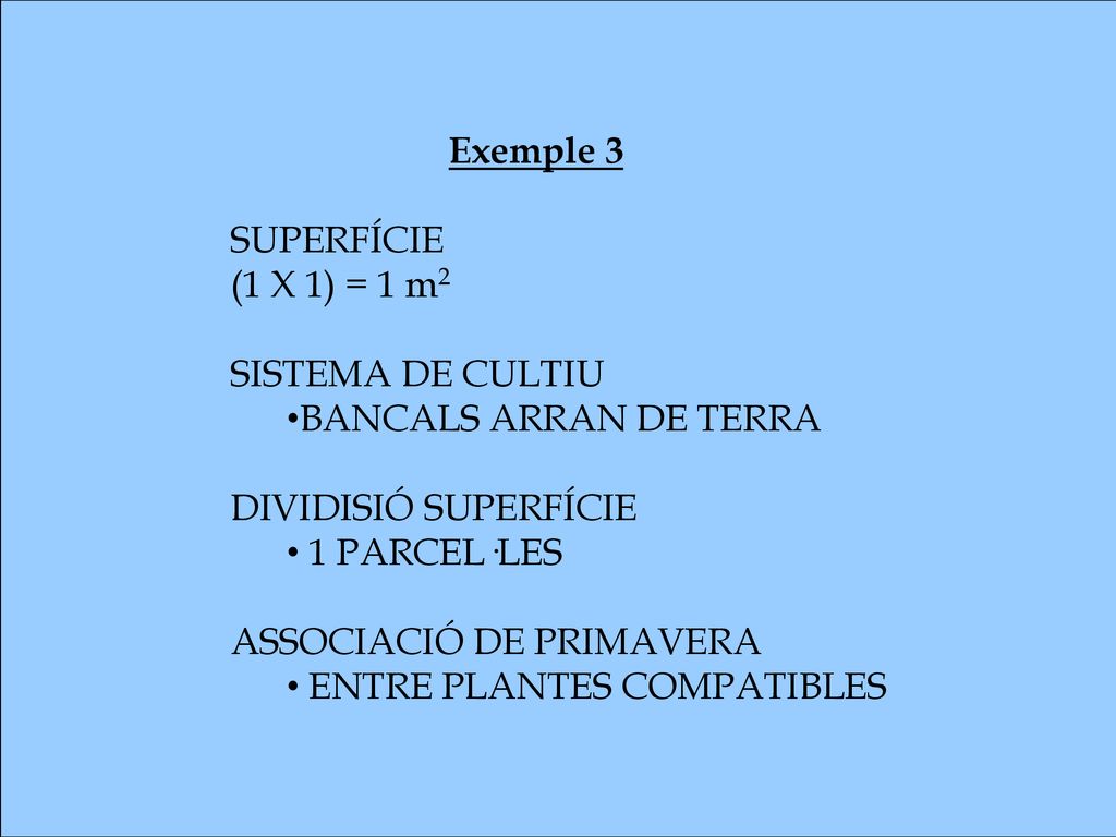 Exemple 3 SUPERFÍCIE. (1 X 1) = 1 m2. SISTEMA DE CULTIU. BANCALS ARRAN DE TERRA. DIVIDISIÓ SUPERFÍCIE.